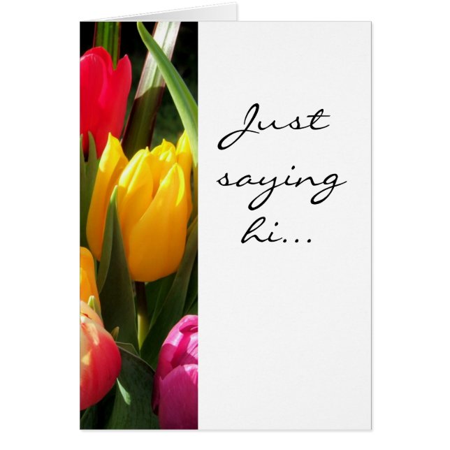 tulipanes, sólo saludar... (Frente)