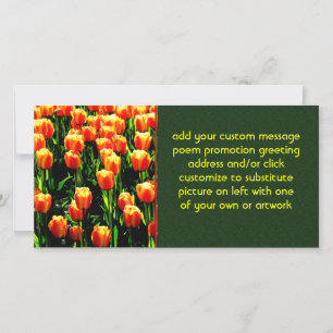 Tulipanes Sunshine