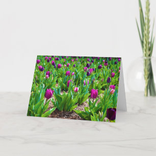 Tulipanes, tarjeta