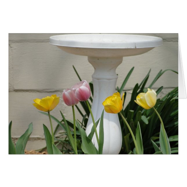 Tulipanes y Birdbath, pensando en "USTED " (Anverso (Horizontal))