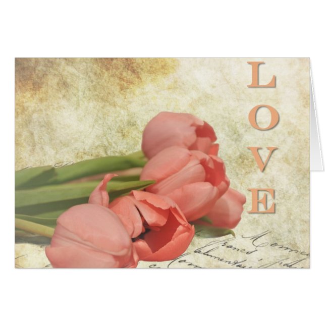 Tulipanes y letra antigua (Anverso (Horizontal))