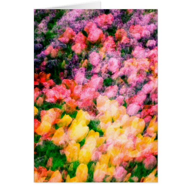 Tulipanes y lilas (Frente)
