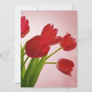 Tulipanos