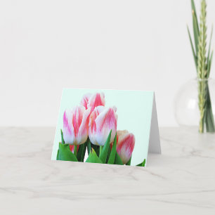 Tulipanos