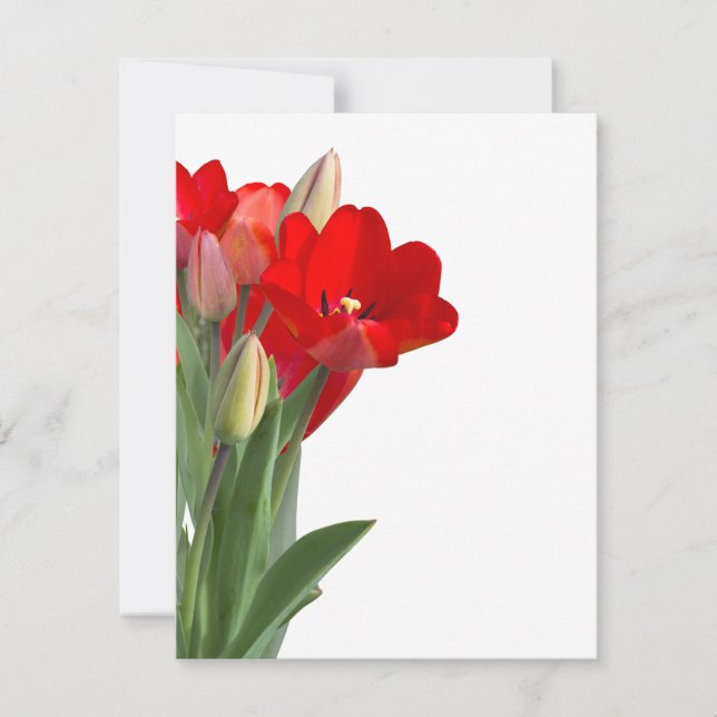 Tulips (Anverso)