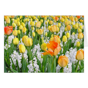 TULIPS AMARILLOS Y NARANJAS LUMINOSOS CON HYACINTH