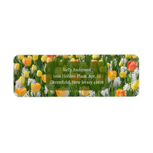 TULIPS AMARILLOS Y PACÍFICOS CON ETIQUETA DE HYACI