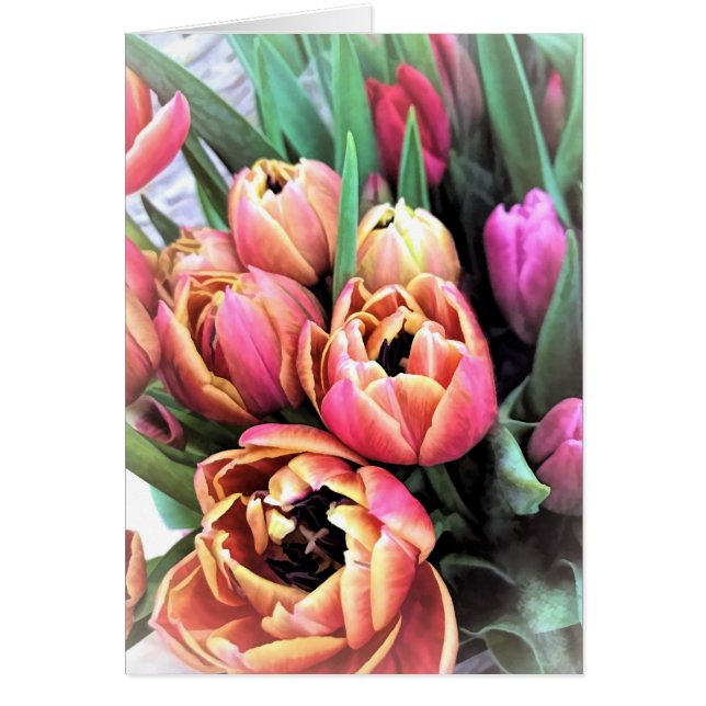 Tulips Bouquet (Frente)