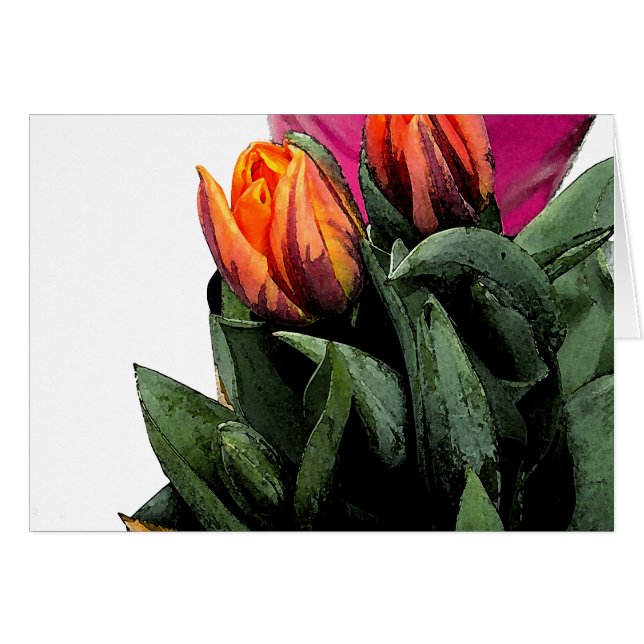 Tulips de nuevo (Anverso (Horizontal))