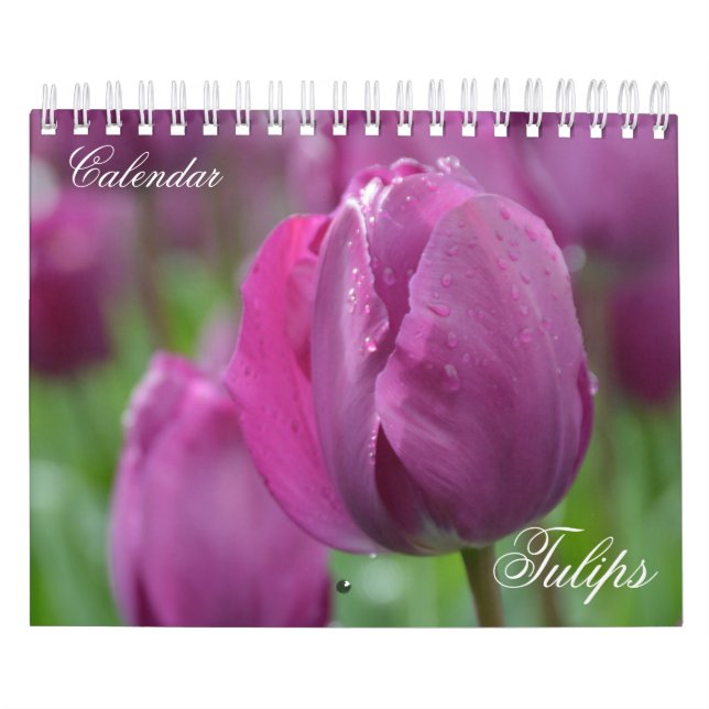 Tulips del calendario de fotos (Tapa)