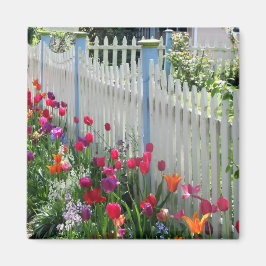 Tulips garden picket picket fence square imán