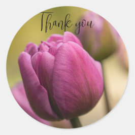 tulips gracias pegatina