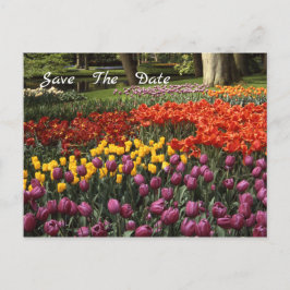 Tulips Guarda La Postcarta Del Anuncio De Fecha
