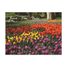 Tulips Guarda La Postcarta Del Anuncio De Fecha