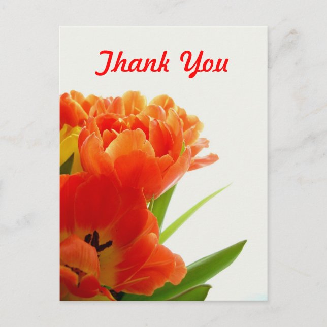 Tulips naranja Gracias Postales (Anverso)