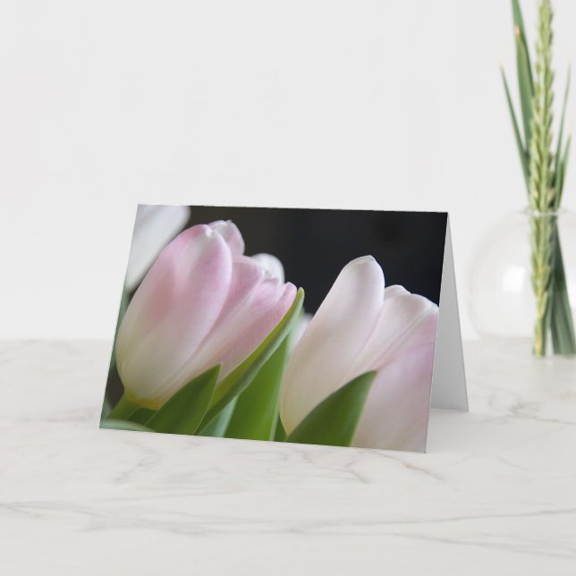Tulips ・ Tarjeta de felicitación (Anverso)