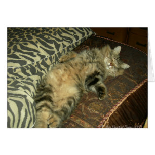 Tum Tum Tum tummy