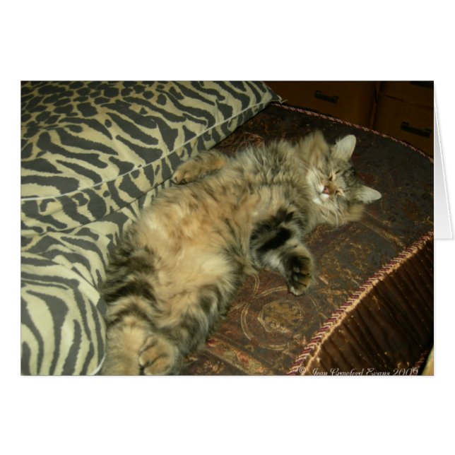 Tum Tum Tum tummy (Anverso (Horizontal))