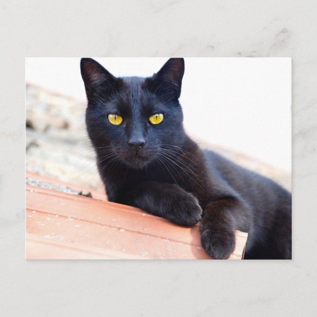 tumbarse alrededor de la postal (Anverso)