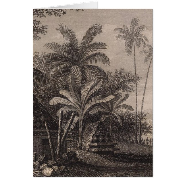 Tumbas, Muthuata, Fiyi (Frente)