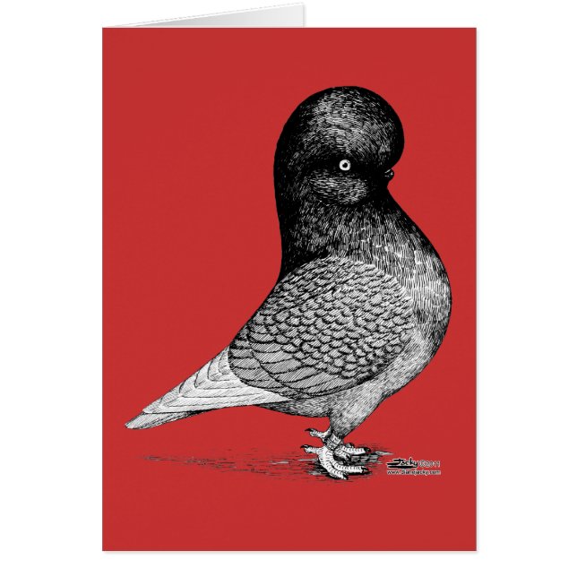 Tumbler andaluz (Frente)