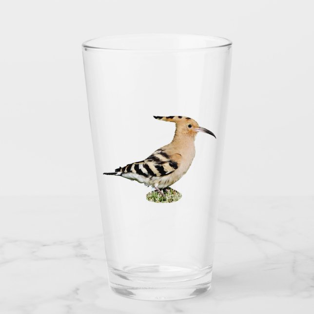 Tumbler de vidrio de hoopoe (Anverso)