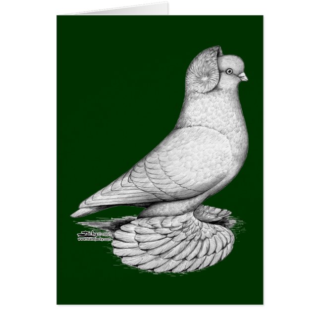 Tumbler ruso (Frente)