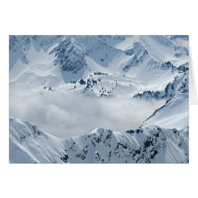 Tundra (Anverso (Horizontal))