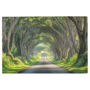 Túnel de árbol Kauai fotografía arte en pared
