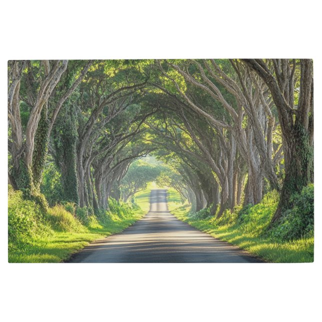 Túnel de árbol Kauai fotografía arte en pared (Anverso)