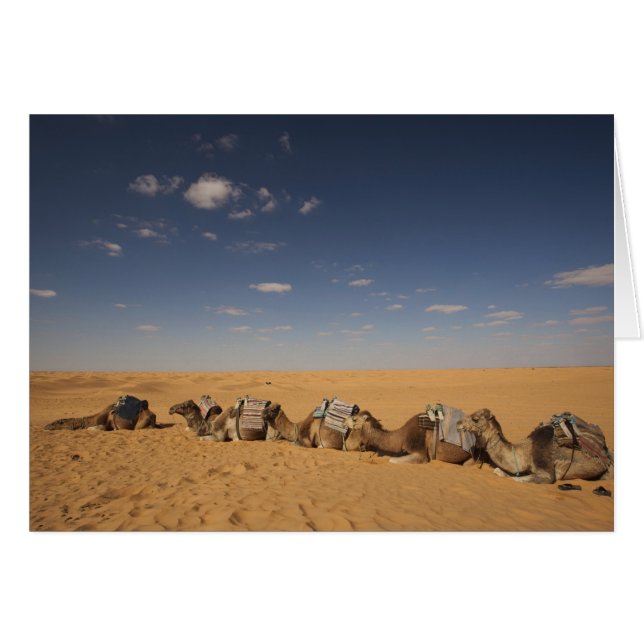 Túnez, zona de Ksour, Ksar Ghilane, Gran Erg 2 (Anverso (Horizontal))