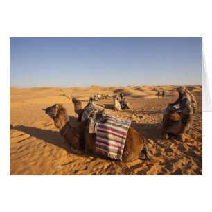 Túnez, zona de Ksour, Ksar Ghilane, Gran Erg 3