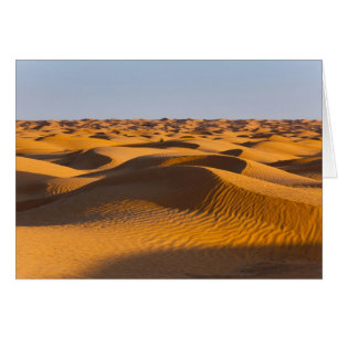 Túnez, zona de Ksour, Ksar Ghilane, Gran Erg 4