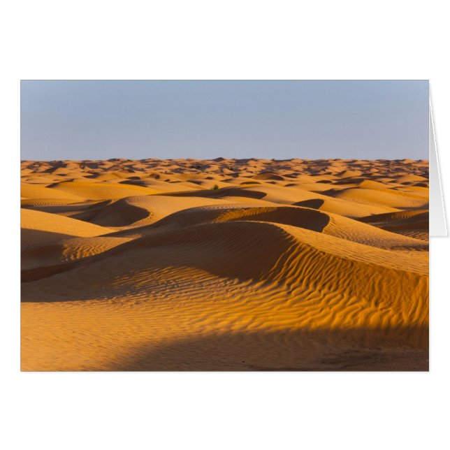 Túnez, zona de Ksour, Ksar Ghilane, Gran Erg 4 (Anverso (Horizontal))