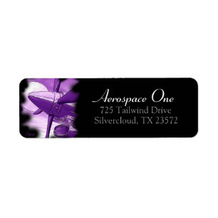 Turbo Vintage Aircraft etiqueta de la dirección de