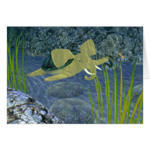 Turfano De Natación