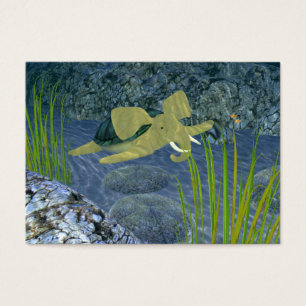 Turfano De Natación