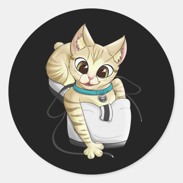 Turq Classic Round Pegatina (Anverso)