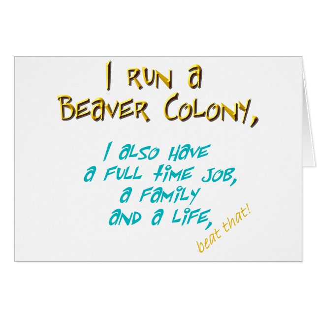 turquesa del líder del castor (Anverso (Horizontal))