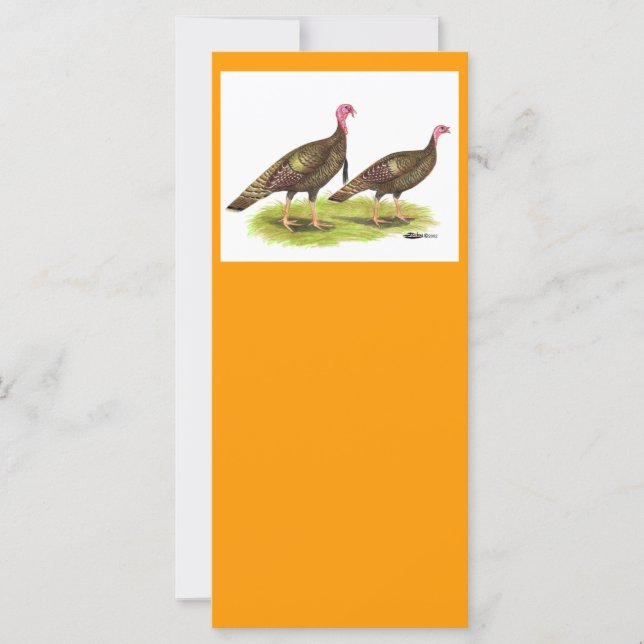 Turquía: Bronce salvaje (Anverso)