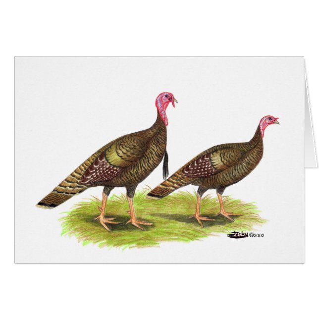 Turquía: Bronce salvaje (Anverso (Horizontal))