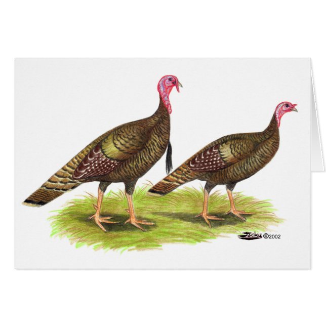 Turquía: Bronce salvaje (Anverso (Horizontal))