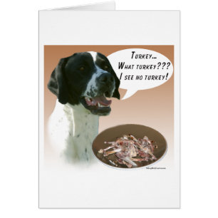 Turquía del puntero (negro)