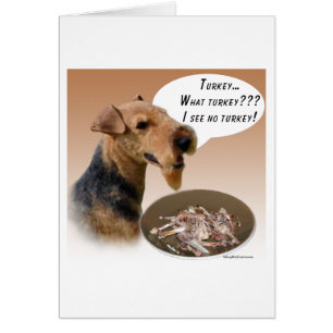 Turquía del territorio galés