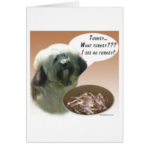 Turquía del territorio tibetano