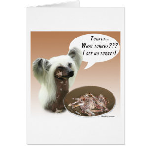 Turquía en la Crestación de China