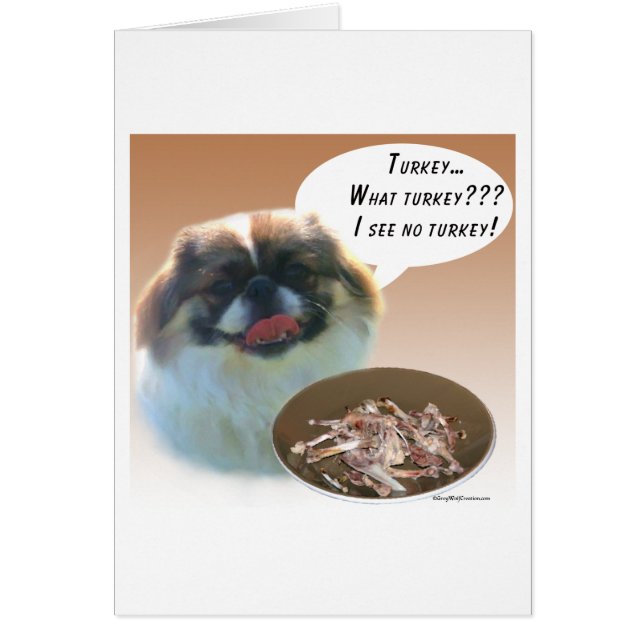 Turquía pekingesa (Frente)