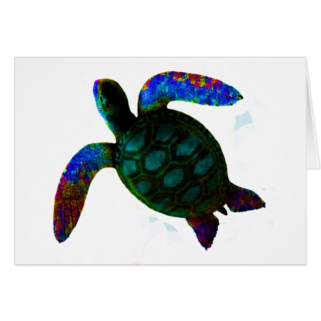 Turtle Cyan Los Regalos Del MUSEO Zazzle (Anverso (Horizontal))