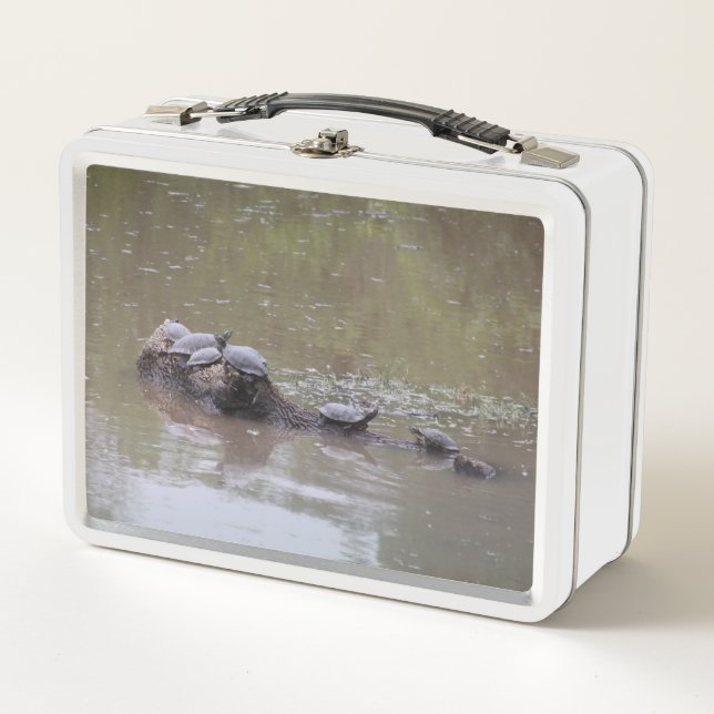 Turtle Lunch Box (Anverso)