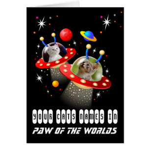 Tus 2 gatos en una escena de ciencia ficción de OV